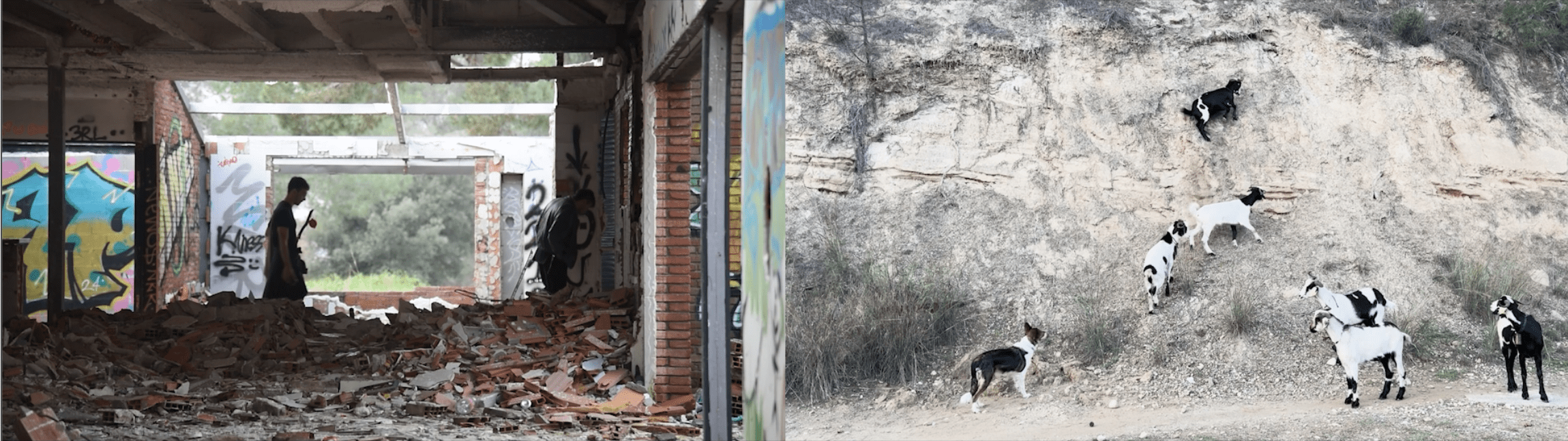 Anarchaeology of a Field. Photo: Studio Panta