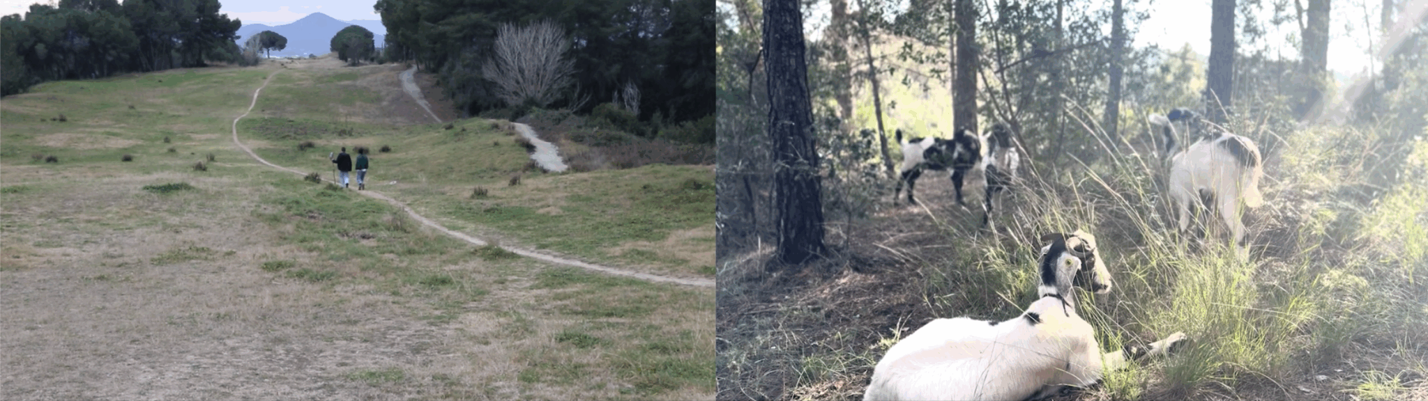 Anarchaeology of a Field. Photo: Studio Panta