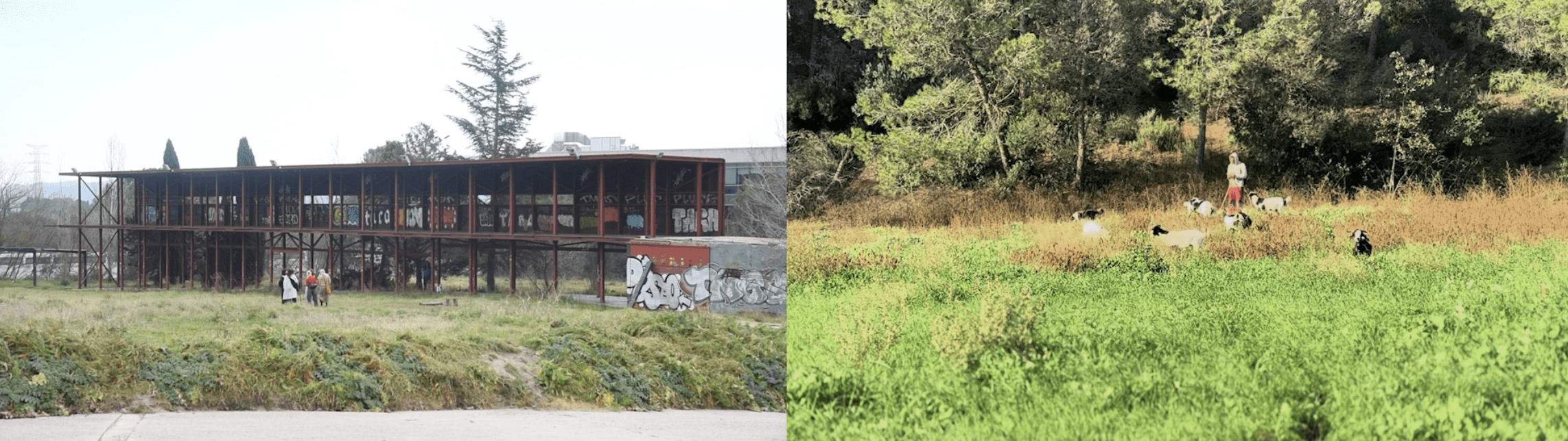 Anarchaeology of a Field. Photo: Studio Panta