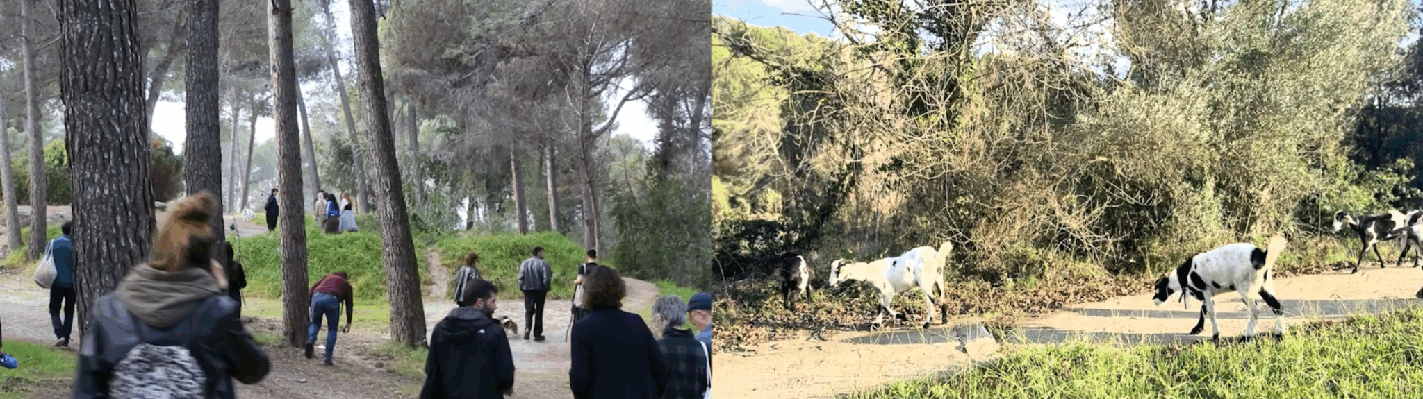 Anarchaeology of a Field. Photo: Studio Panta